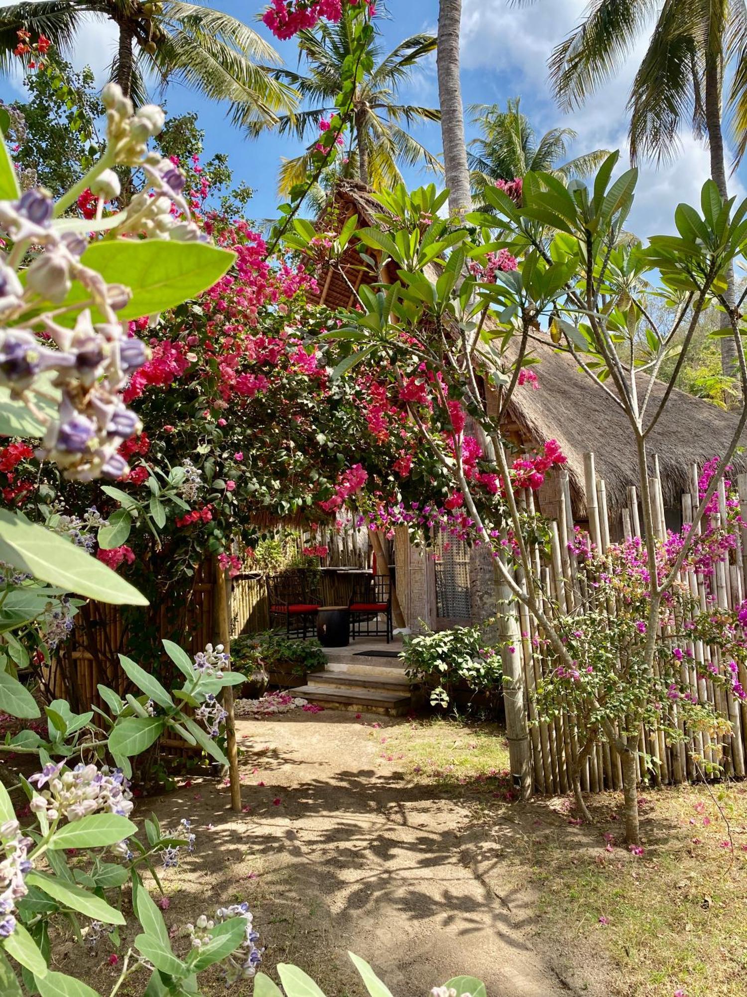 Amahelia Luxury Resort & Restaurant - กิลิอาซาฮาน ภายนอก รูปภาพ